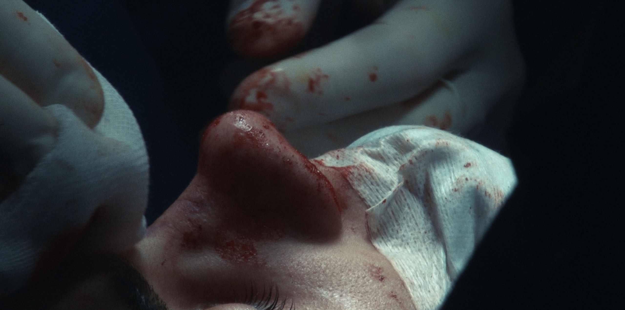 dc6da37d-5f1b-41a1-823d-7884cc2de1dd